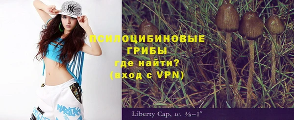 стаф Михайлов