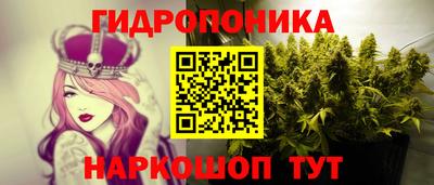 ешки Волжск