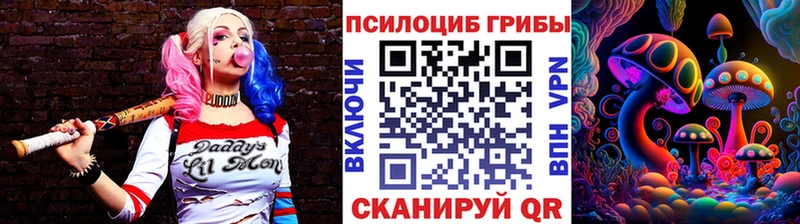 Псилоцибиновые грибы Psilocybe  Люберцы 